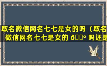 取名微信网名七七是女的吗（取名微信网名七七是女的 🐺 吗还是 🌴 男的）